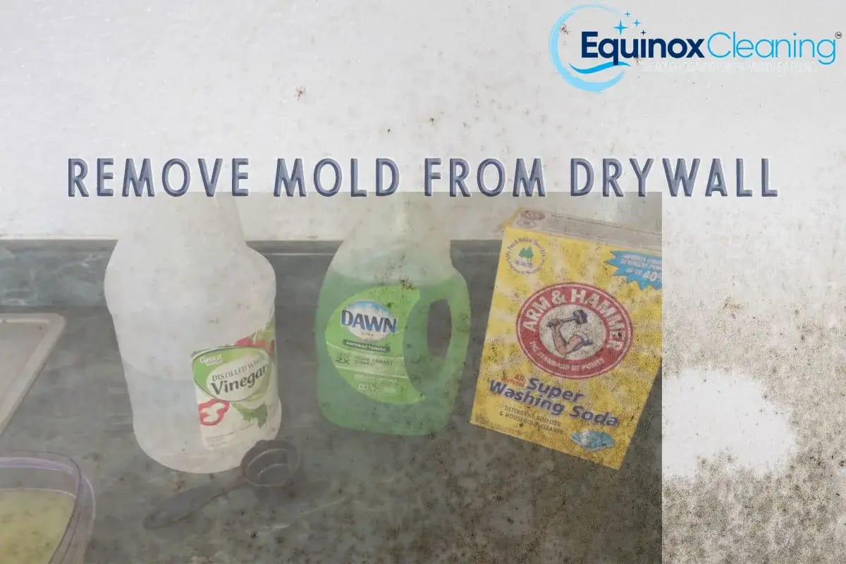You are currently viewing Best Methods For Removal Of Mold And Mildew