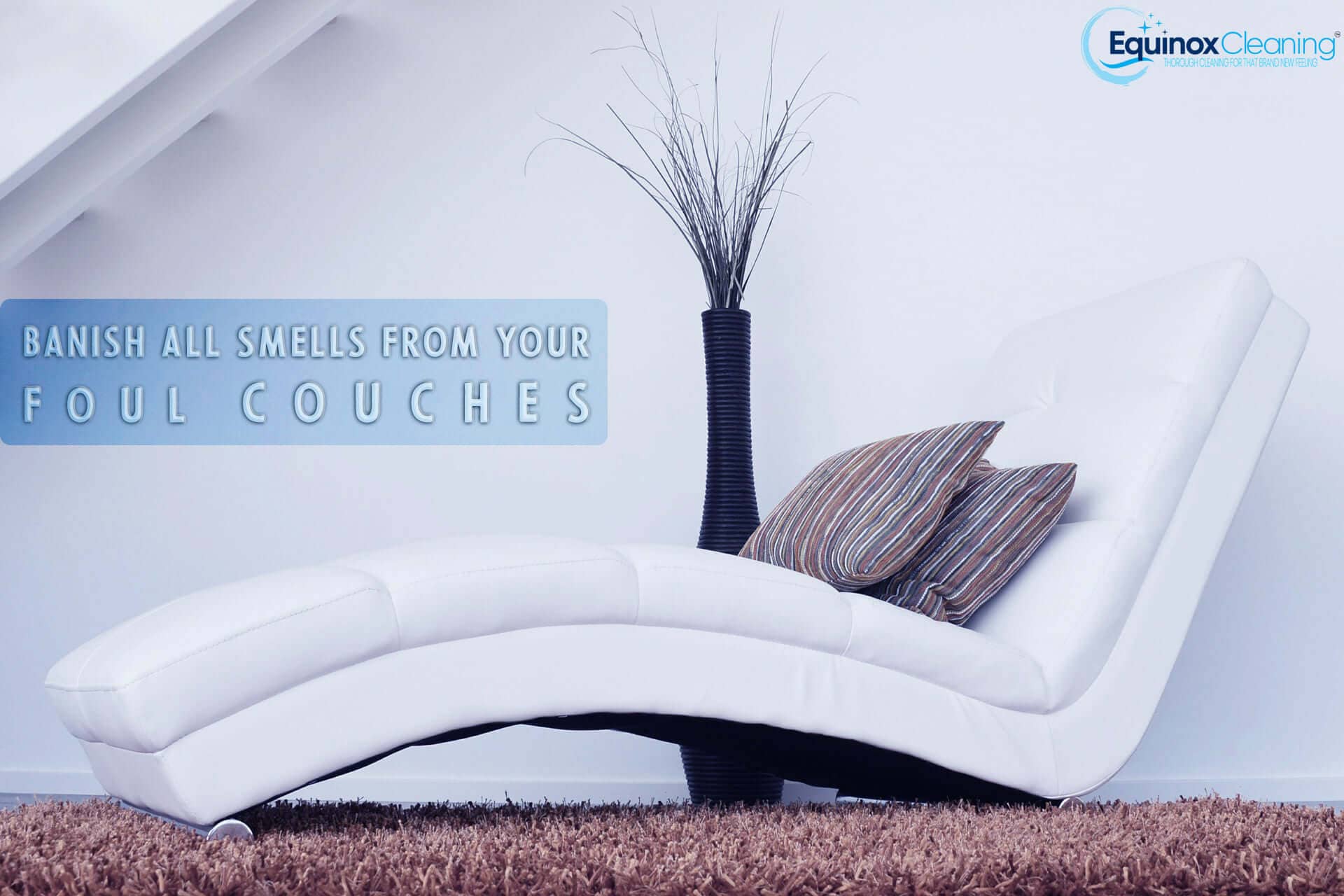 You are currently viewing Banish All Smells From Your Foul Couches