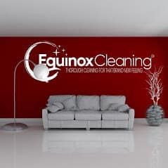 Read more about the article Helping the World Become a Better Place With Equinox Cleaning