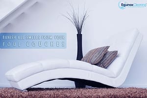 Read more about the article Banish All Smells From Your Foul Couches