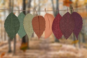 Read more about the article Creative and Easy Fall Craft Ideas