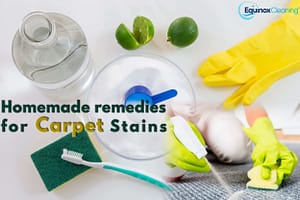 Read more about the article The homemade remedies for Carpet Stains